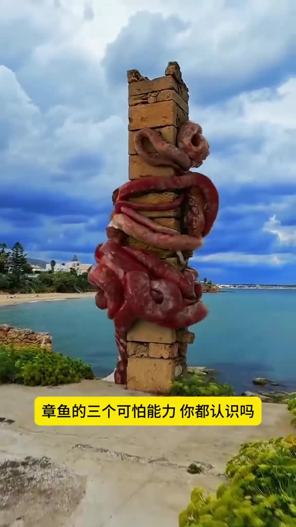 章鱼有三个可怕的能力你最想拥有哪一个