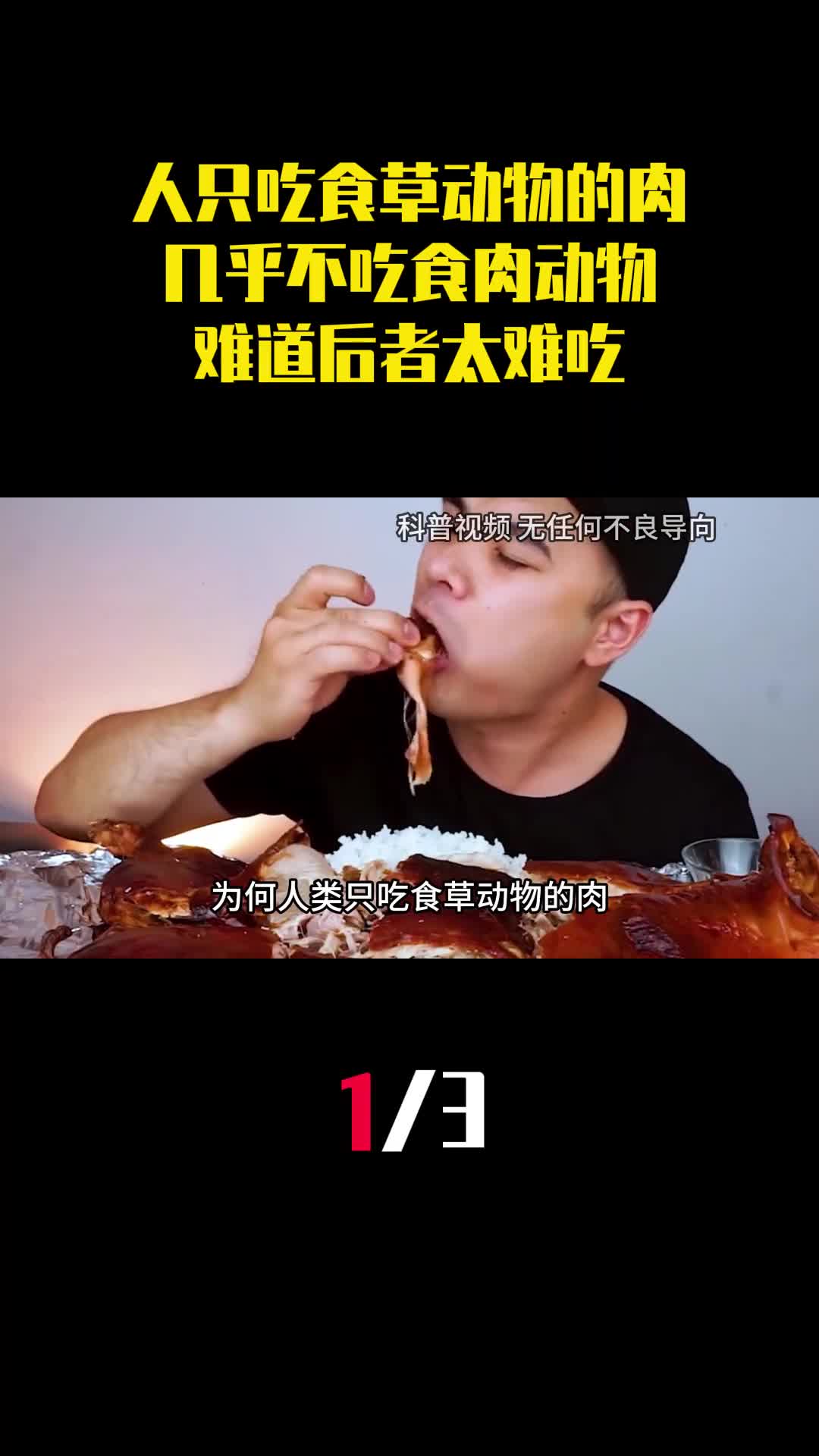 为何人类只吃食草动物的肉几乎不吃食肉动物难道后者太难吃1