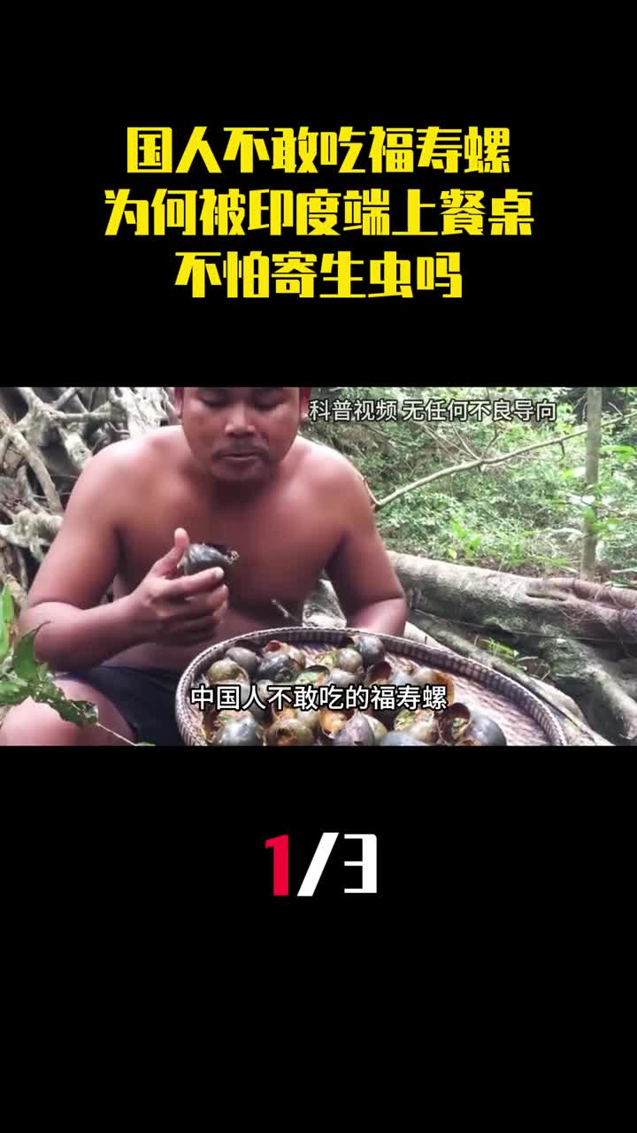 中国人不敢吃的福寿螺为何被印度端上餐桌不怕寄生虫吗1