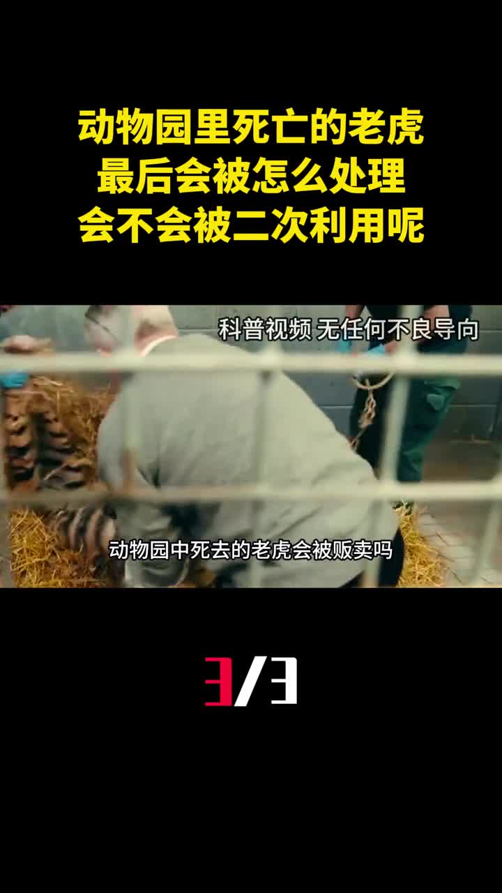 动物园里死亡的老虎最后会被怎么处理会不会被二次利用呢3