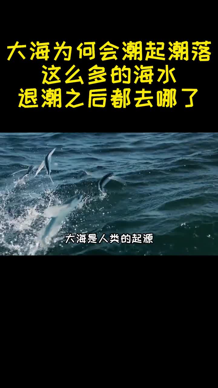 大海为何会潮起潮落这么多的海水退潮之后都去哪了1