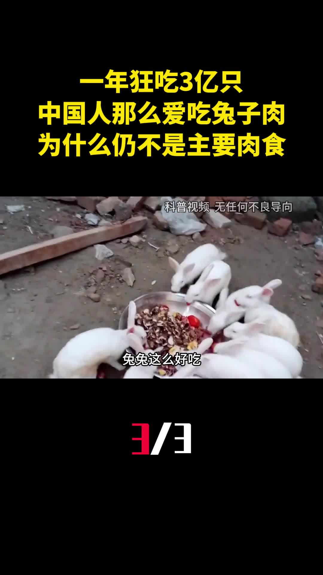 一年狂吃3亿只中国人那么爱吃兔子肉为什么仍不是主要肉食3