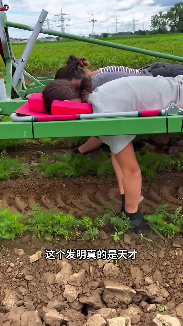 直接趴着种菜还有最无聊的世界纪录