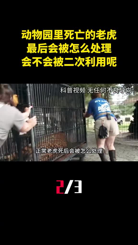动物园里死亡的老虎最后会被怎么处理会不会被二次利用呢2