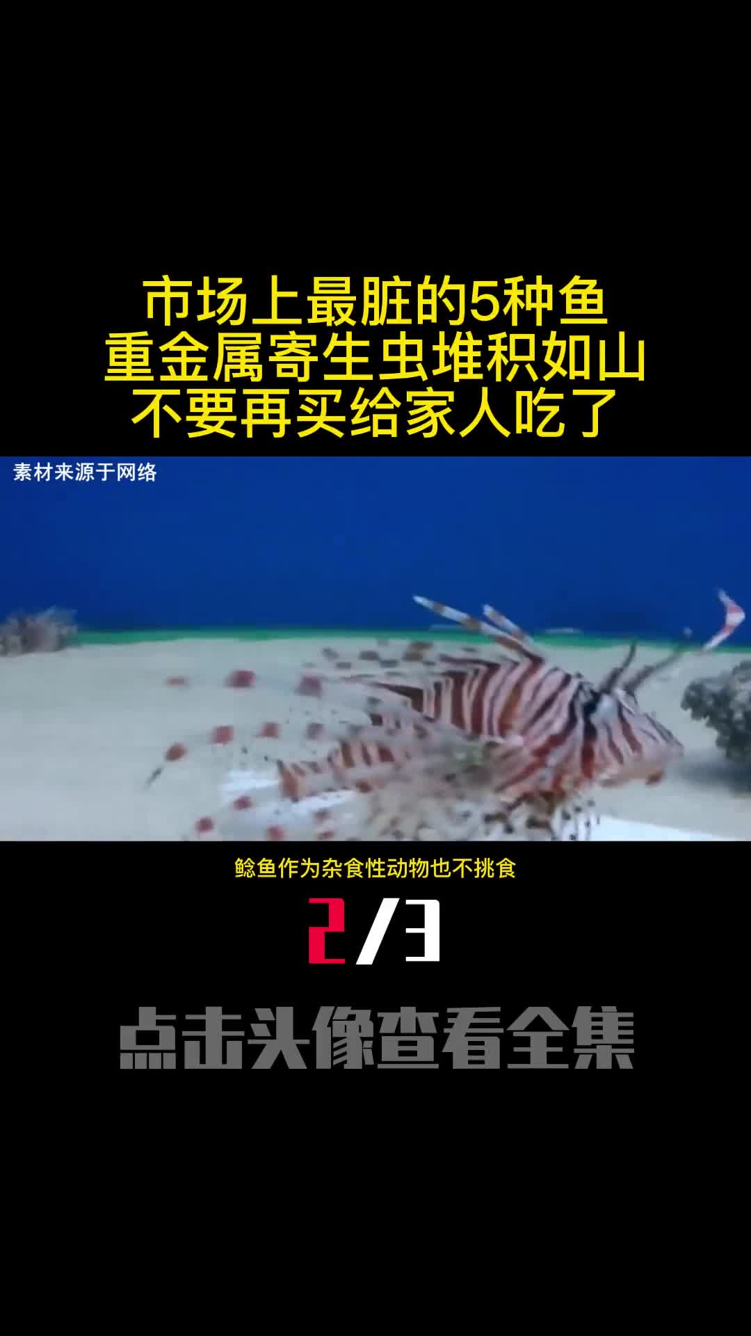 市场上最脏的5种鱼重金属寄生虫堆积如山不要再买给家人吃了2