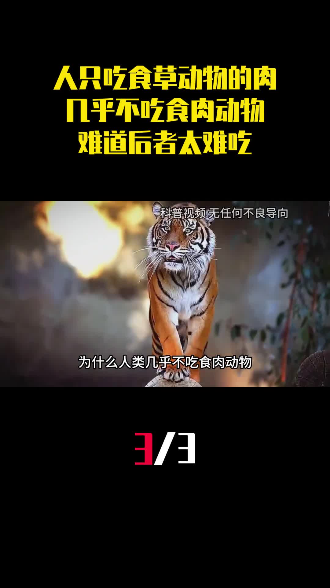 为何人类只吃食草动物的肉几乎不吃食肉动物难道后者太难吃3