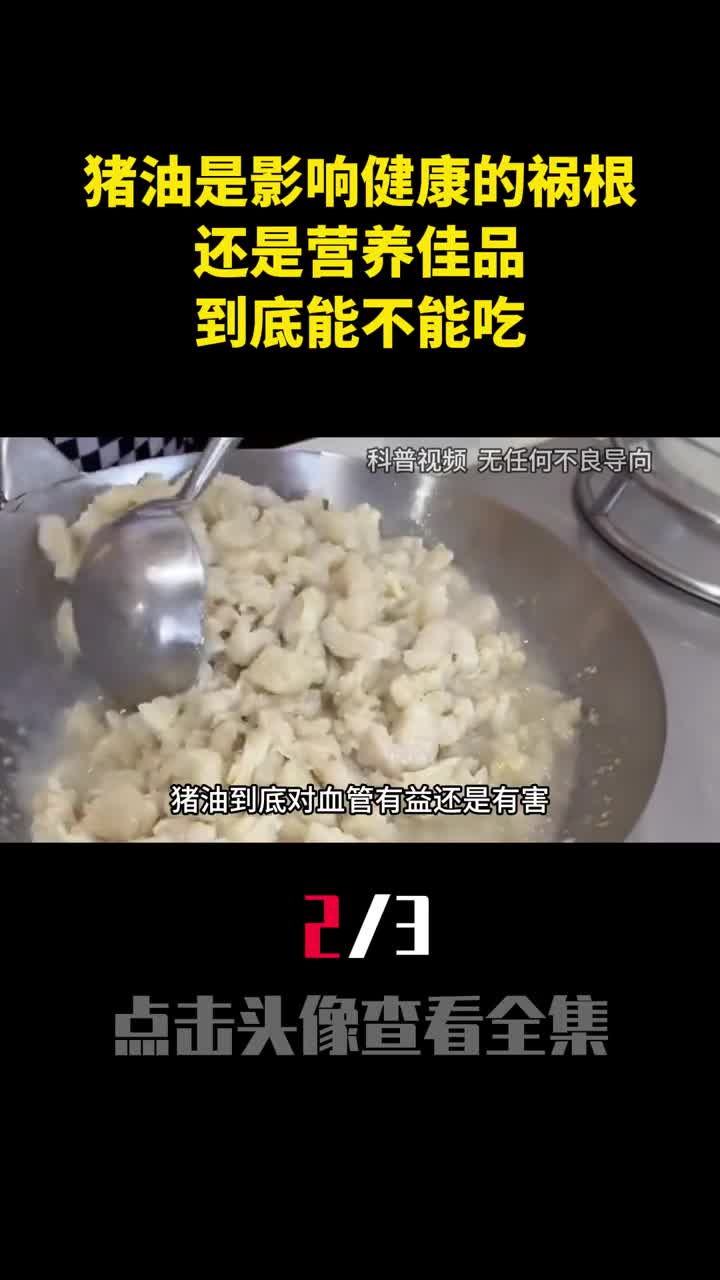 猪油是影响健康的祸根还是营养佳品到底能不能吃2