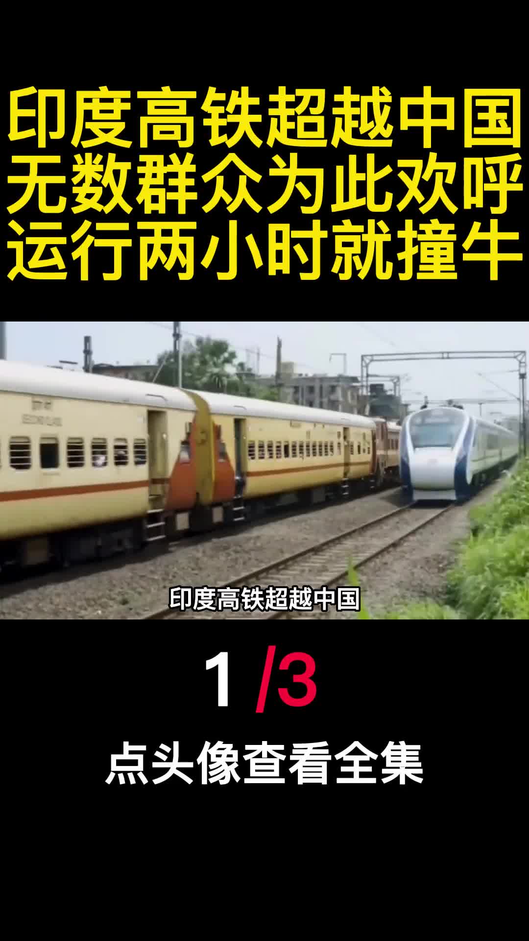 印度高铁超越中国无数群众为此欢呼运行两小时就撞牛1