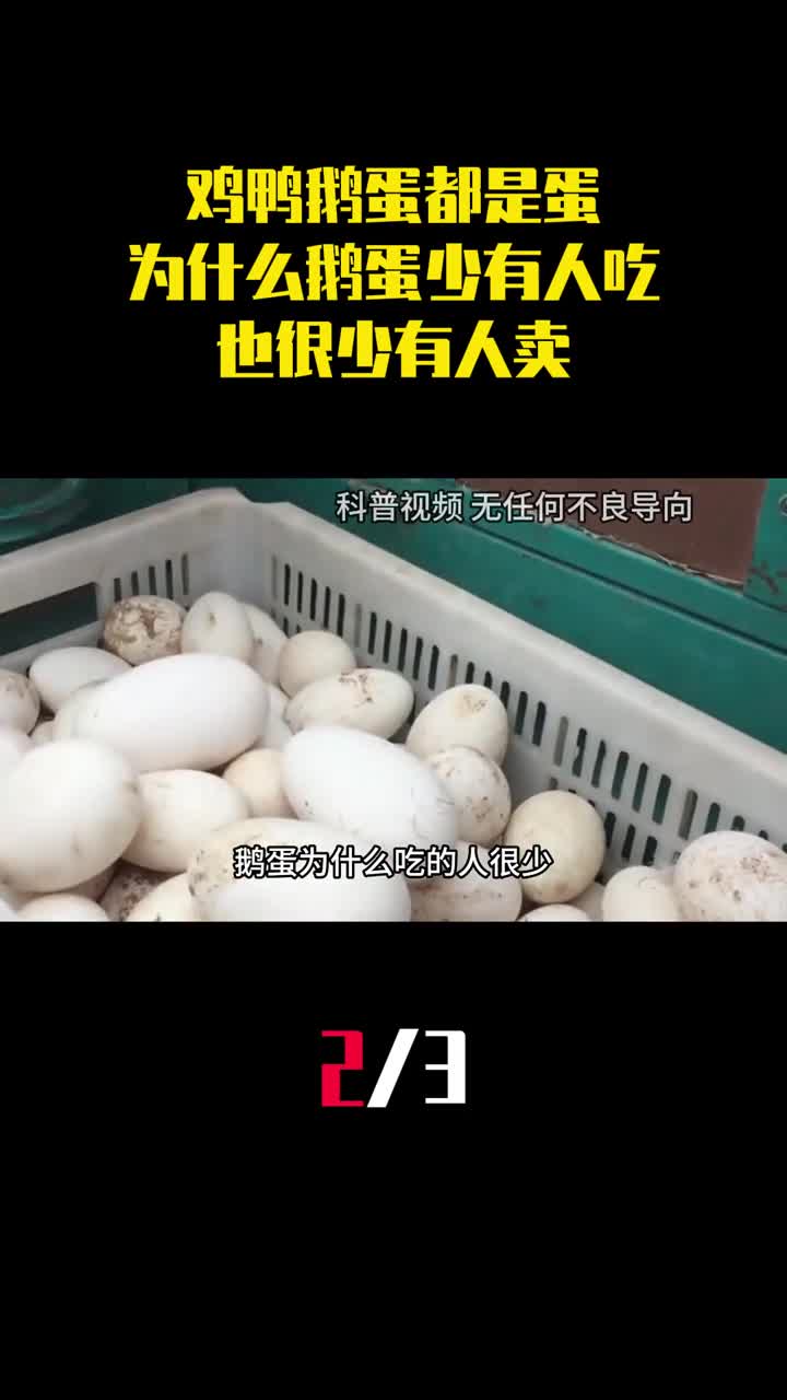 鸡鸭鹅蛋都是蛋为什么鹅蛋很少有人吃也很少有人卖2