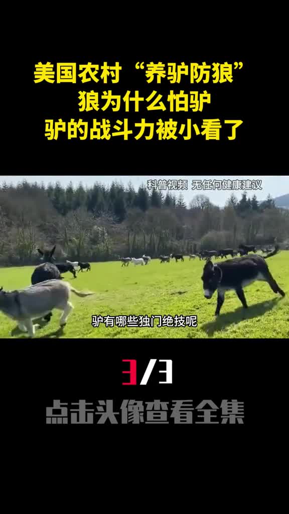 美国农村养驴防狼狼为什么怕驴驴的战斗力被小看了3