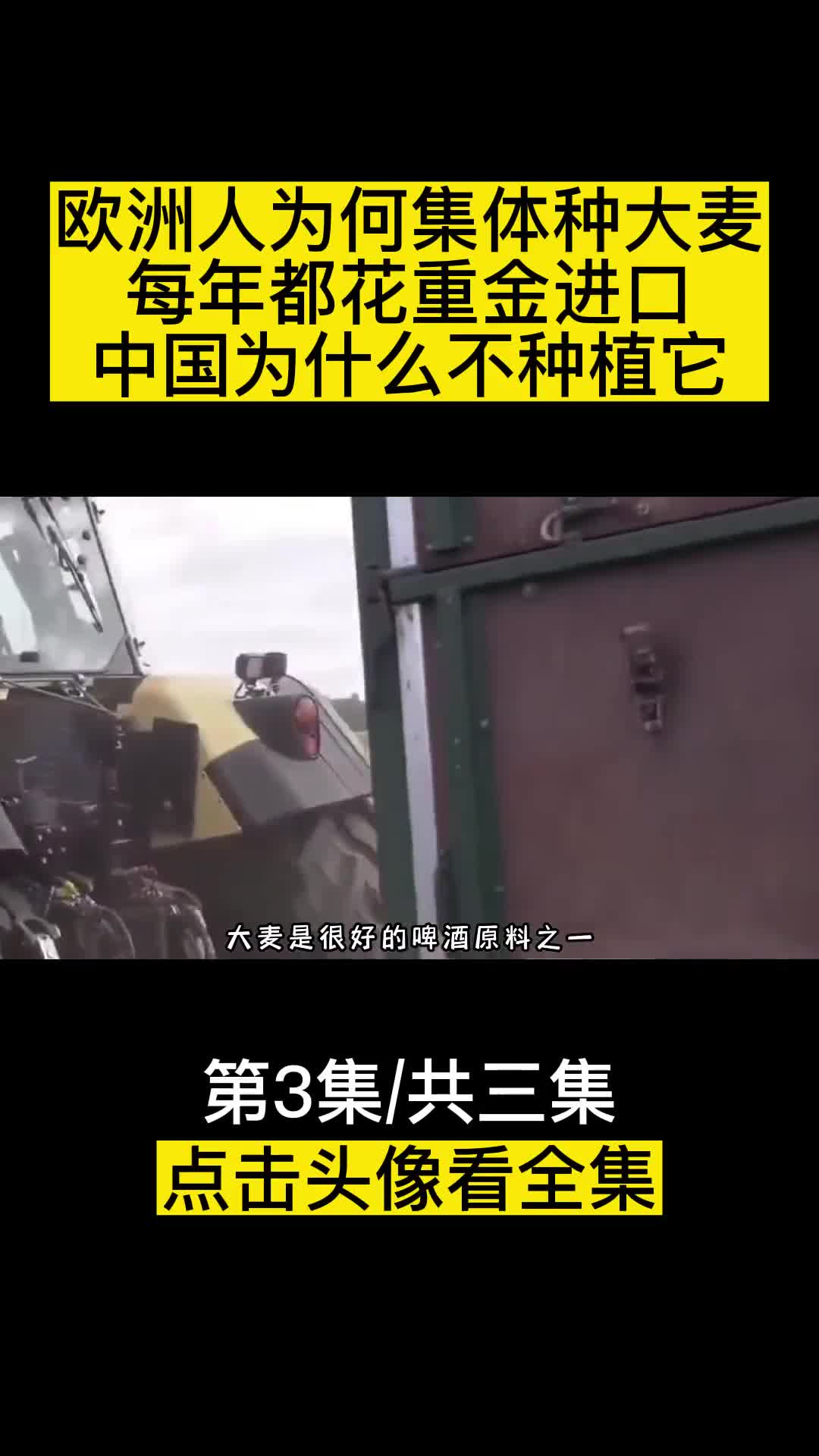 欧洲人为何集体种大麦中国每年都花重金进口为什么不种植呢