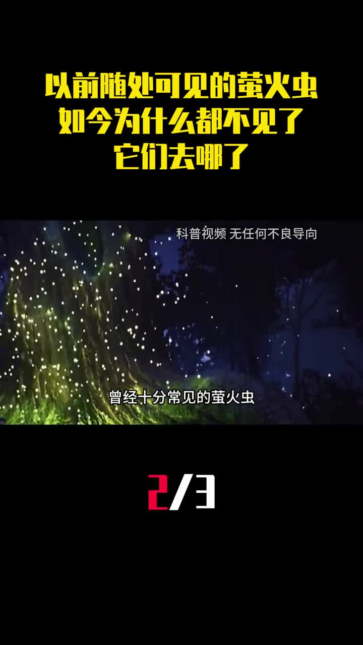 以前随处可见的萤火虫如今为什么都不见了它们去哪了2