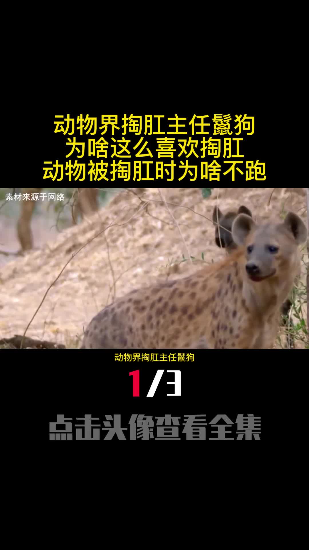 动物界掏肛主任鬣狗为啥这么喜欢掏肛动物被掏肛时为啥不跑1