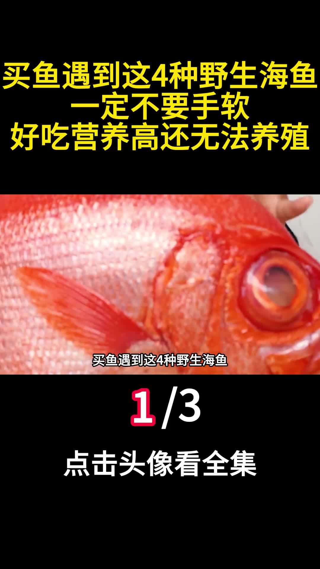 买鱼遇到这4种野生海鱼一定不要手软好吃营养高还无法养殖1