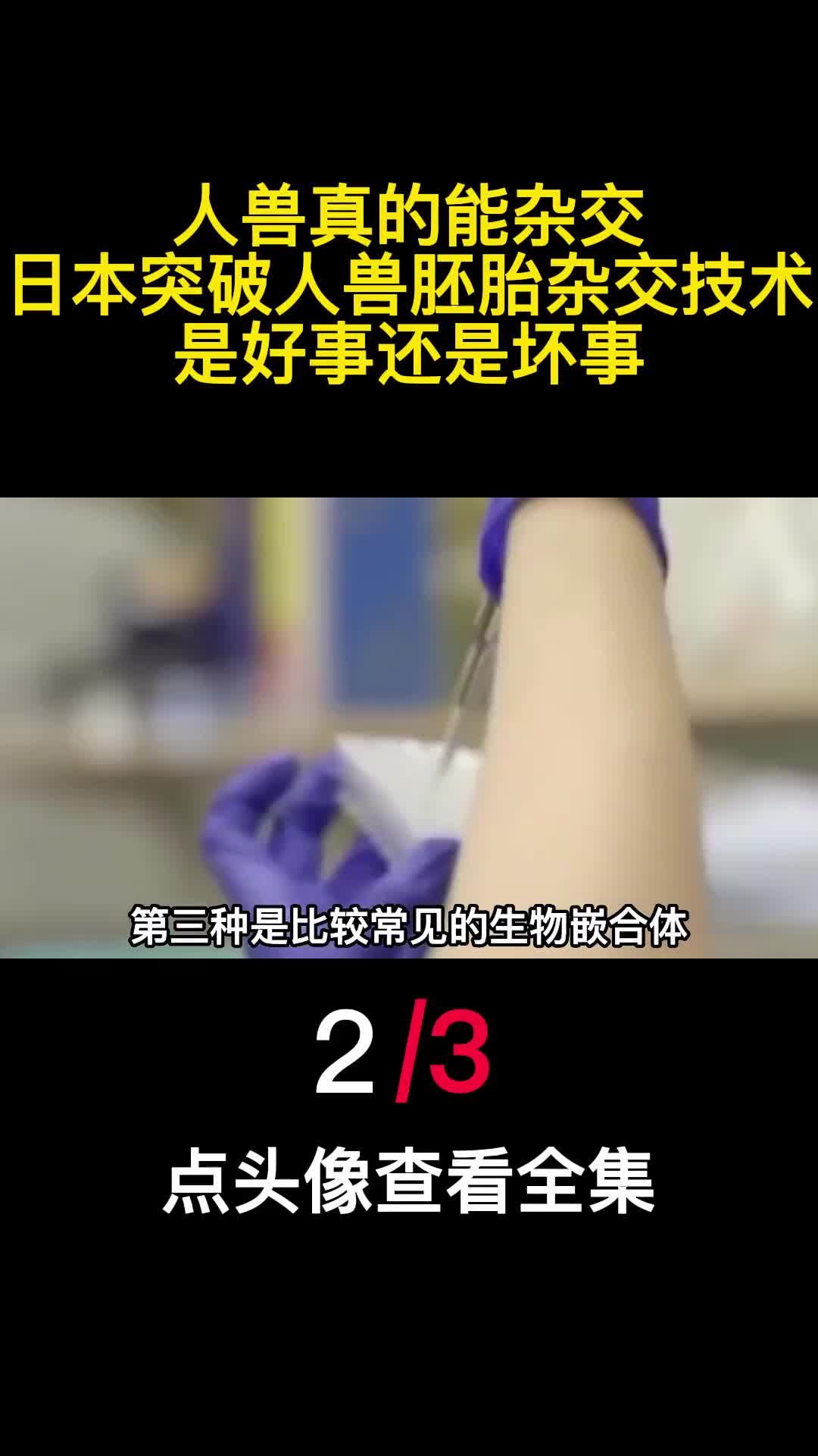 人兽真的能杂交日本突破人兽胚胎杂交技术是好事还是坏事2