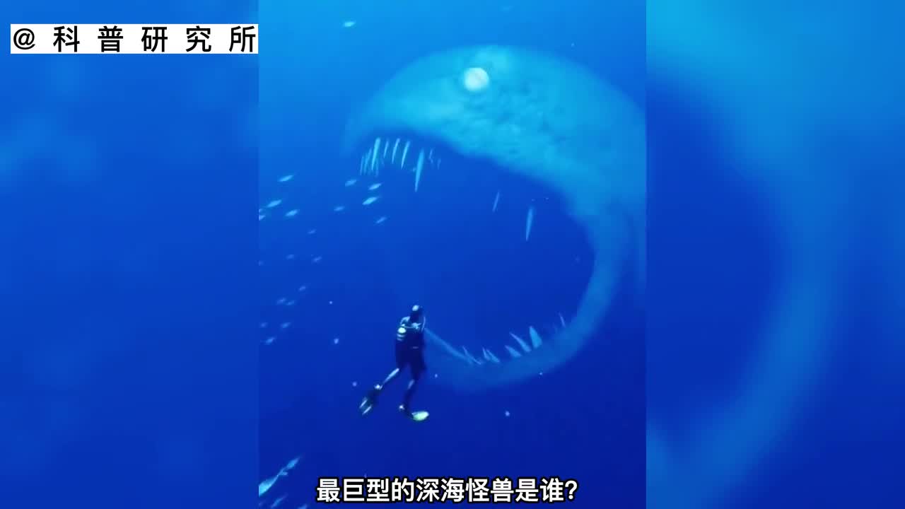 科幻片里的海怪大小排名你猜最大的是谁二
