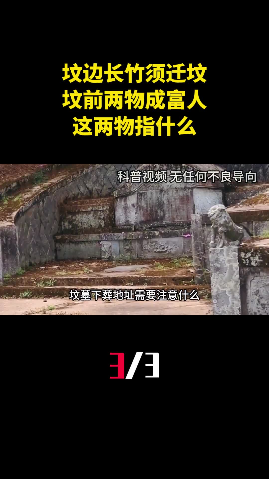 古话道坟边长竹须迁坟坟前两物成富人这两物指什么3