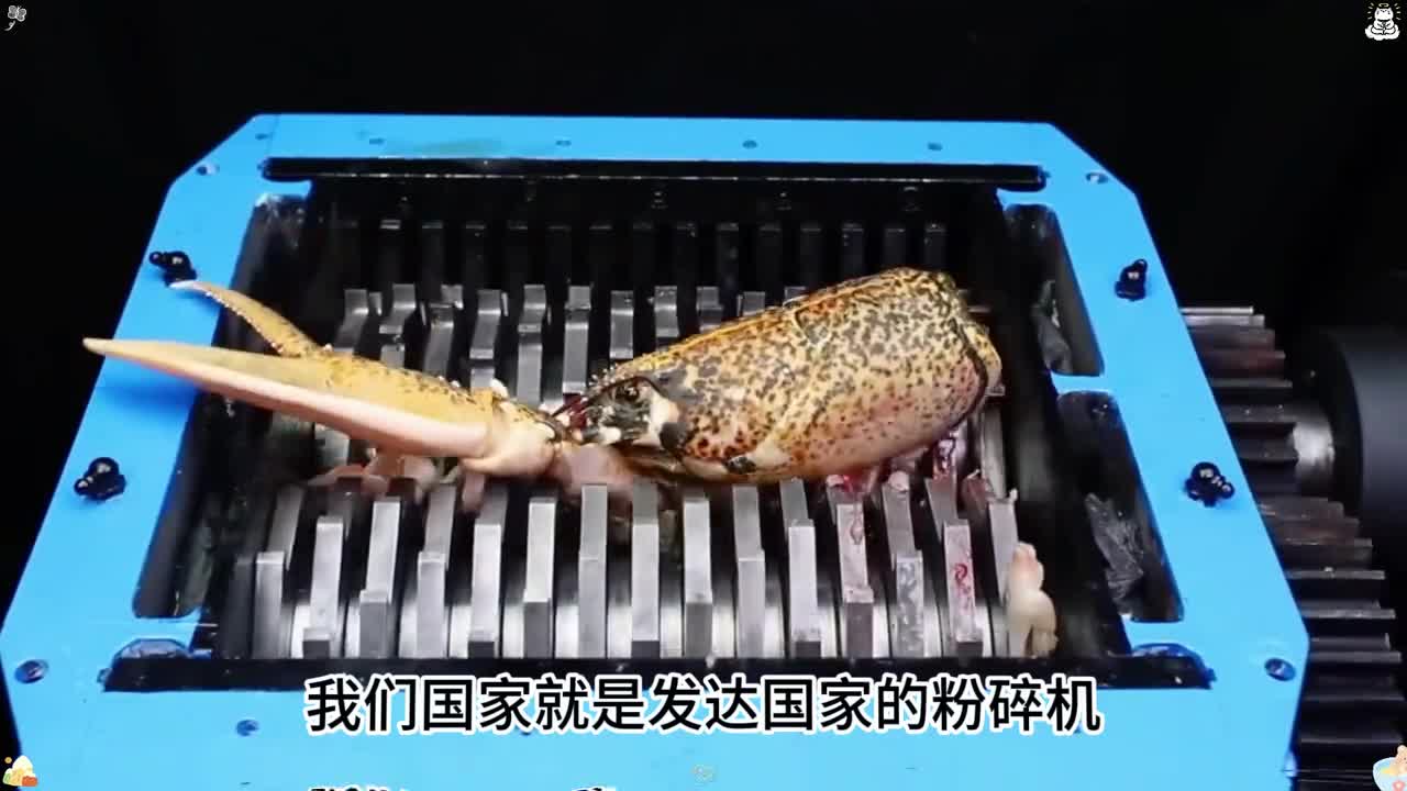 为什么我国被称为发达国家粉碎机