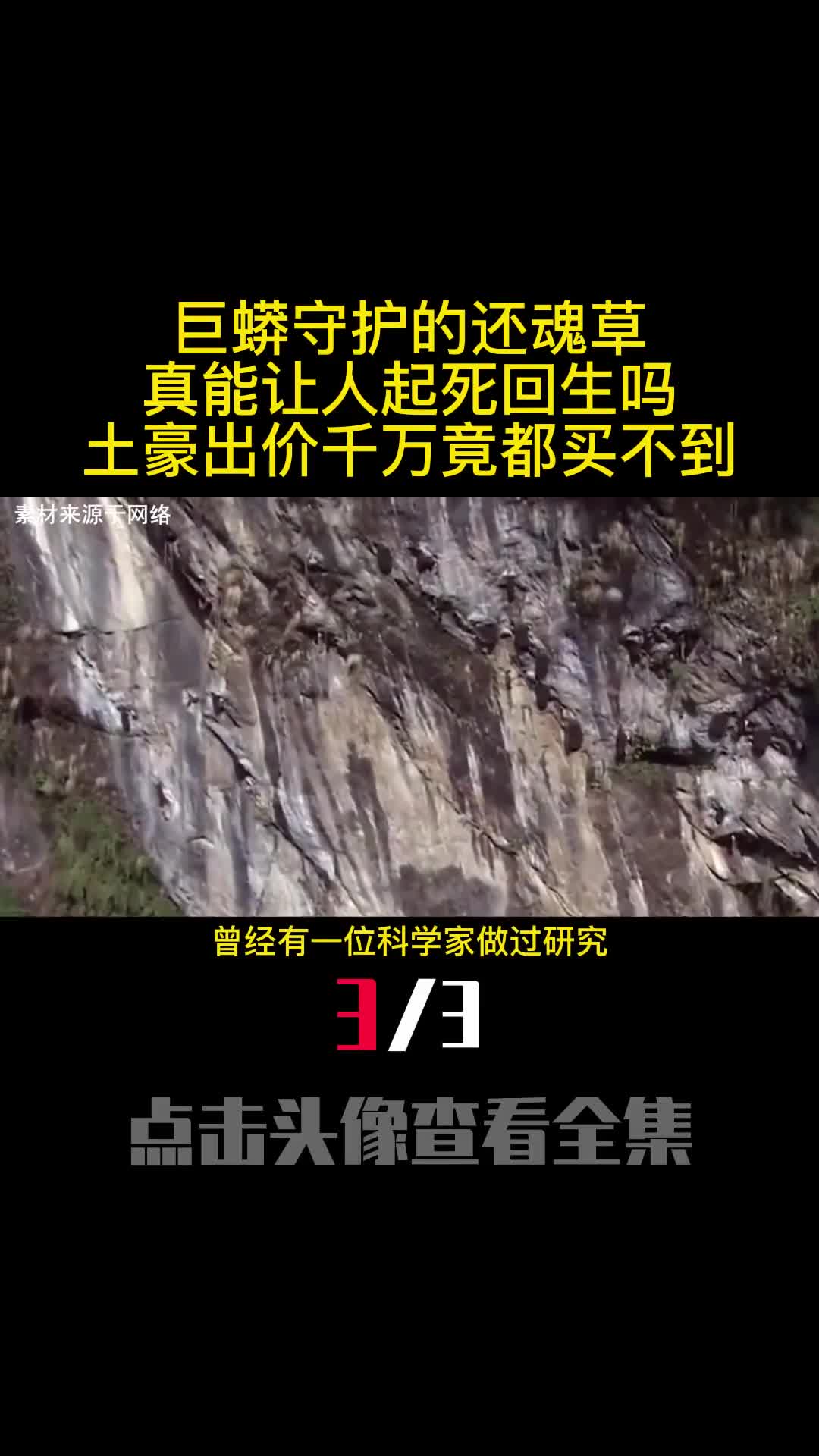 巨蟒守护的还魂草真能让人起死回生吗土豪出价千万竟都买不到3