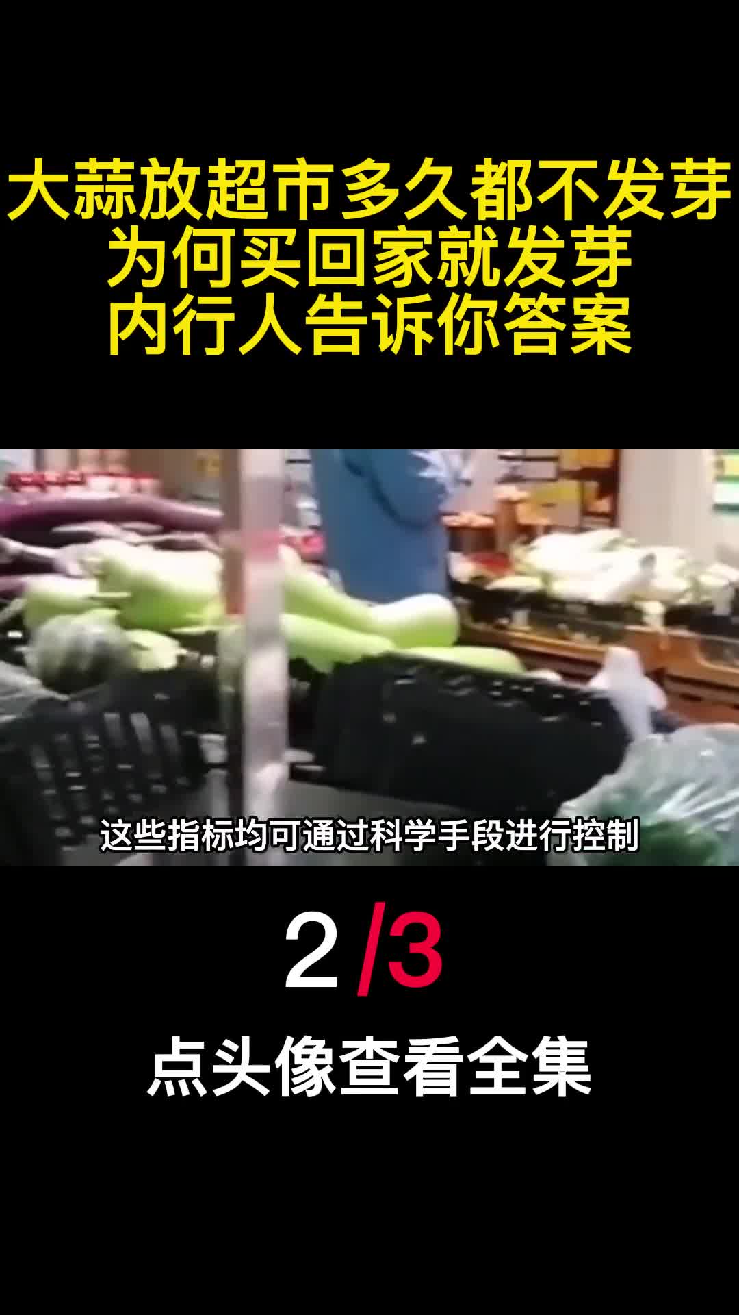 大蒜放超市多久都不发芽为何买回家就发芽内行人告诉你答案2