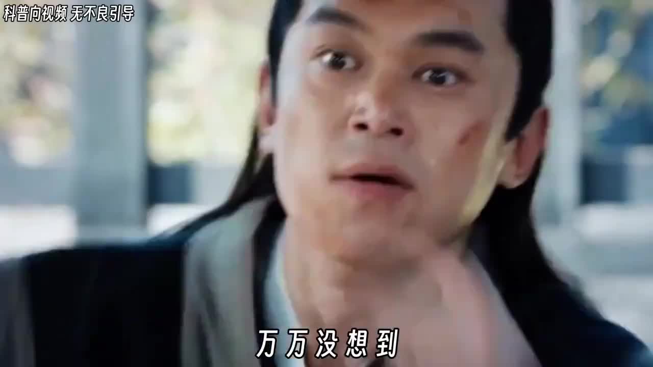 一个五仁月饼就能横扫整个欧洲老祖宗留给我们的体质果然是最好的从不承认自己过敏只要吃不死就住死里吃