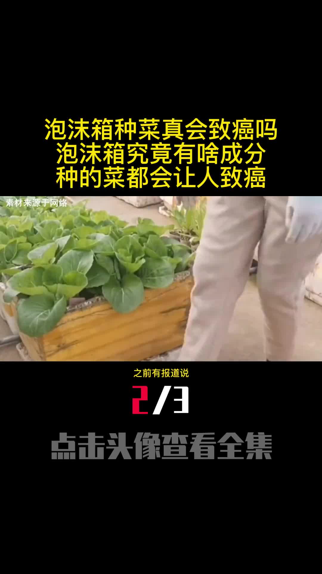 泡沫箱种菜真会致癌吗泡沫箱究竟有啥成分种的菜都会让人致癌2