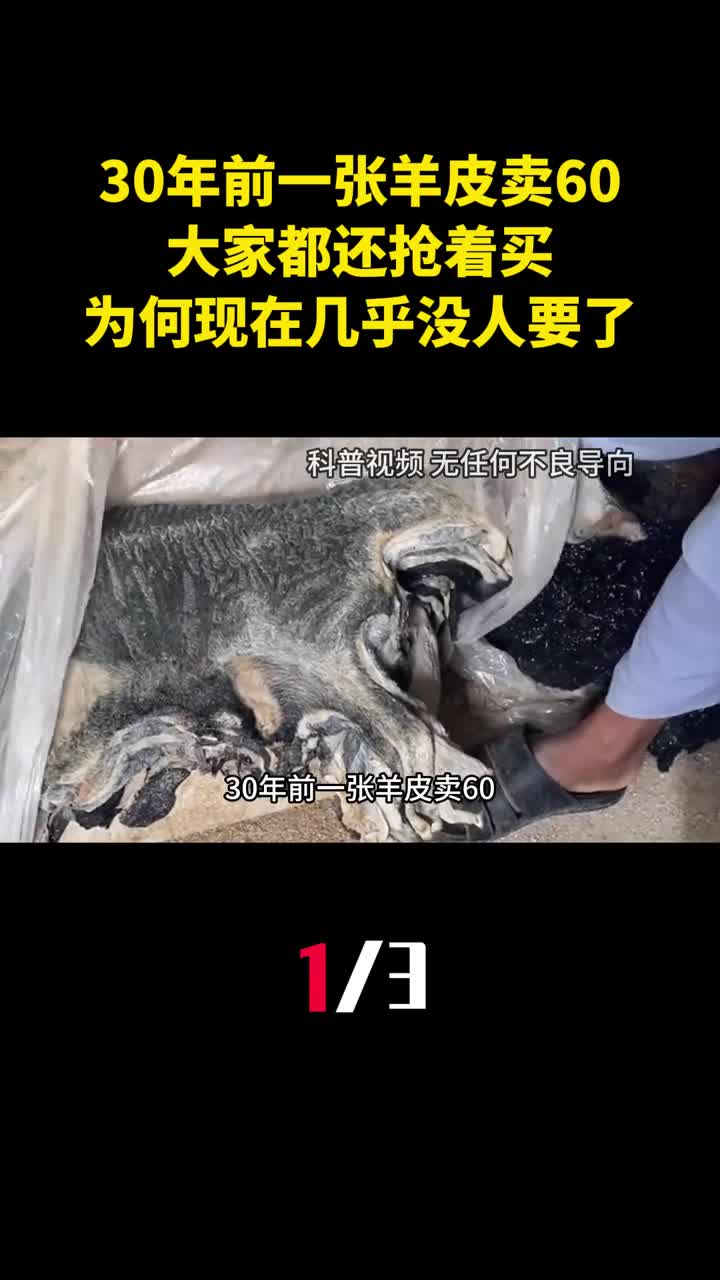 30年前一张羊皮卖60大家都还抢着买为何现在几乎没人要了1