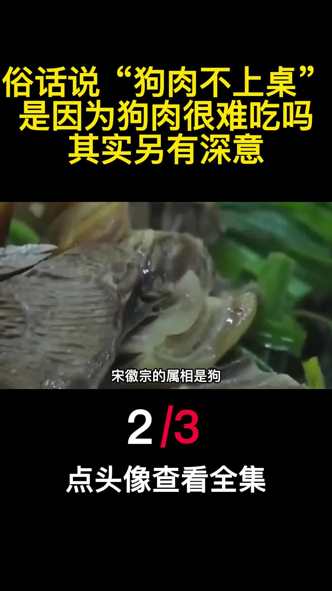 俗话说狗肉不上桌是因为狗肉很难吃吗其实另有深意2
