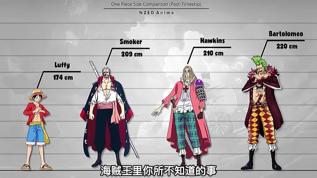 海贼王的角色身高大比拼最高的被路飞骑过你知道是谁吗二