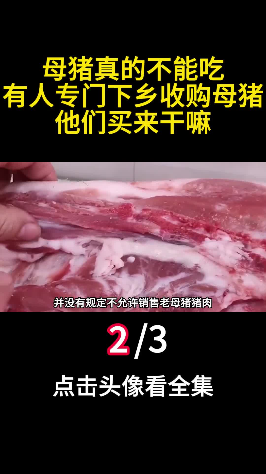 母猪真的不能吃有人专门下乡收购母猪他们买来干嘛2