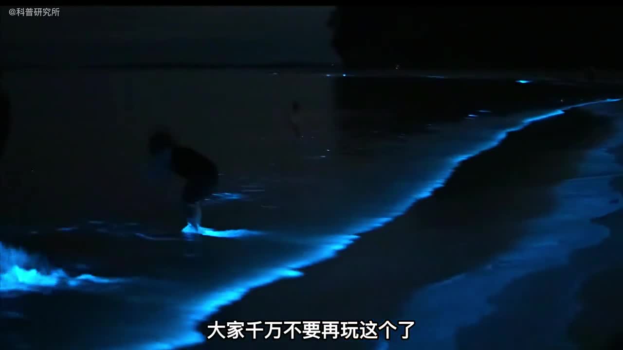 荧光海是怎么形成的它的危害你知道吗