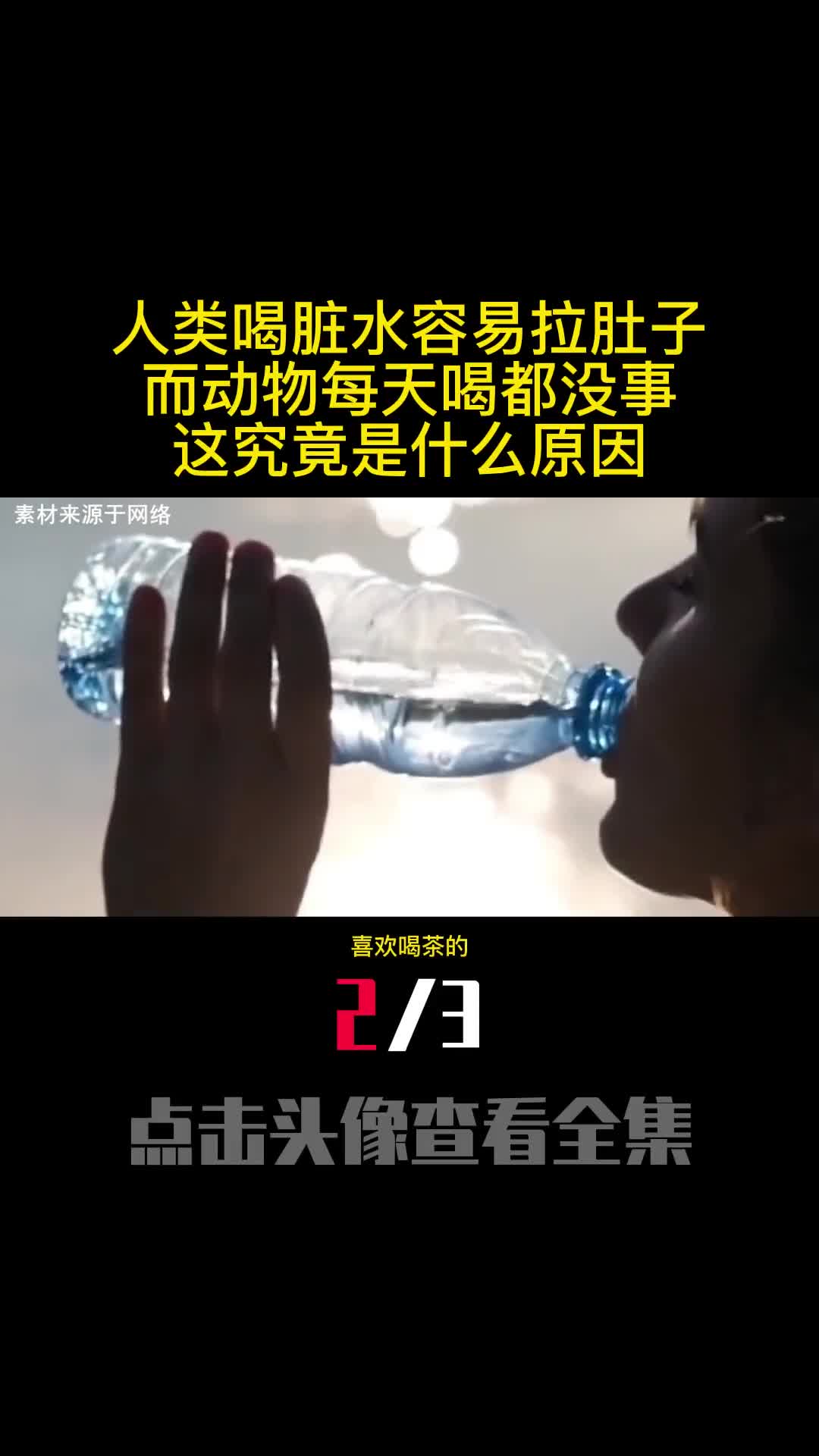 为啥说隔夜茶毒如蛇难道隔夜茶真的有毒吗央视实验告诉你真相2