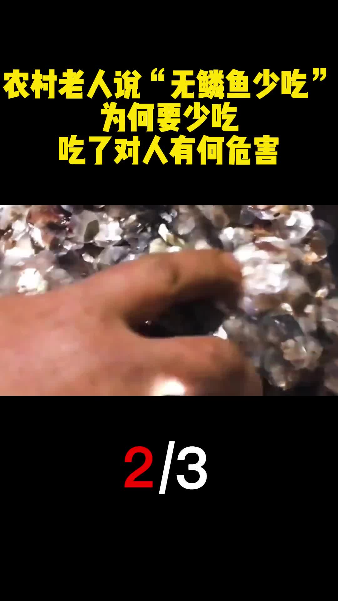 农村老人说无鳞鱼少吃为何要少吃吃了对人有何危害2