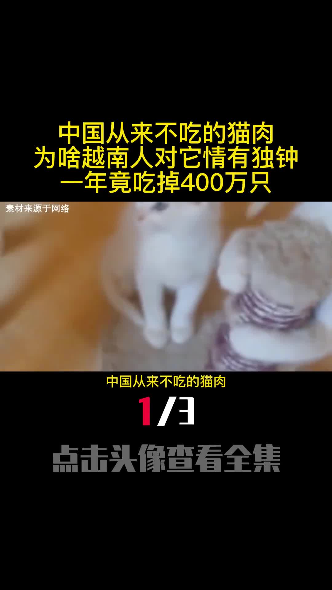 中国从来不吃的猫肉为啥越南人对它情有独钟一年竟吃掉400万只1