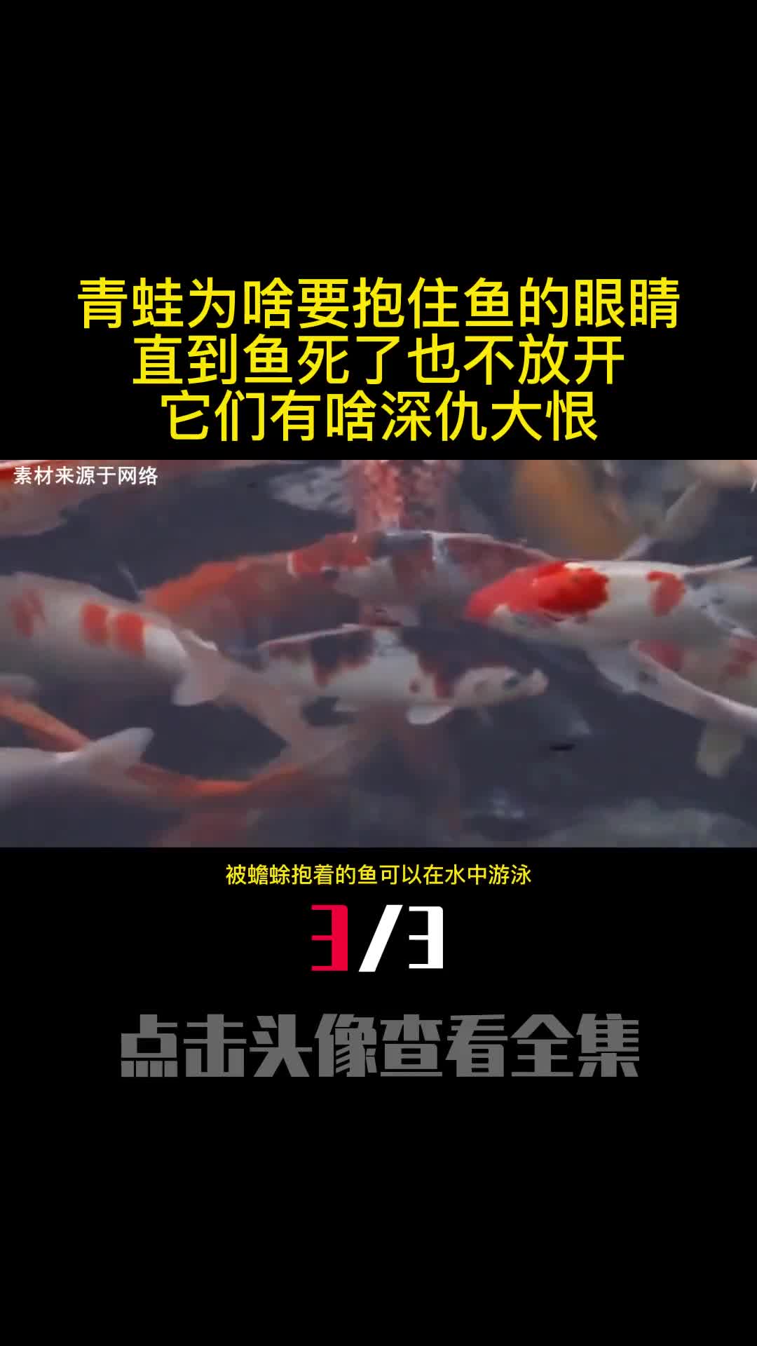 青蛙为啥要抱住鱼的眼睛直到鱼死了也不放开它们有啥深仇大恨3