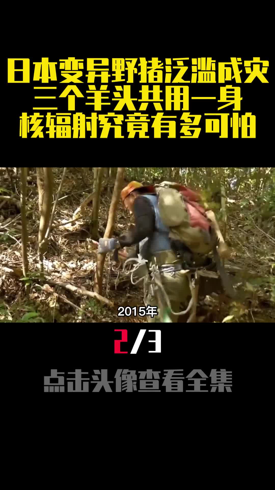 日本变异野猪泛滥成灾三个羊头共用一身核辐射究竟有多可怕2