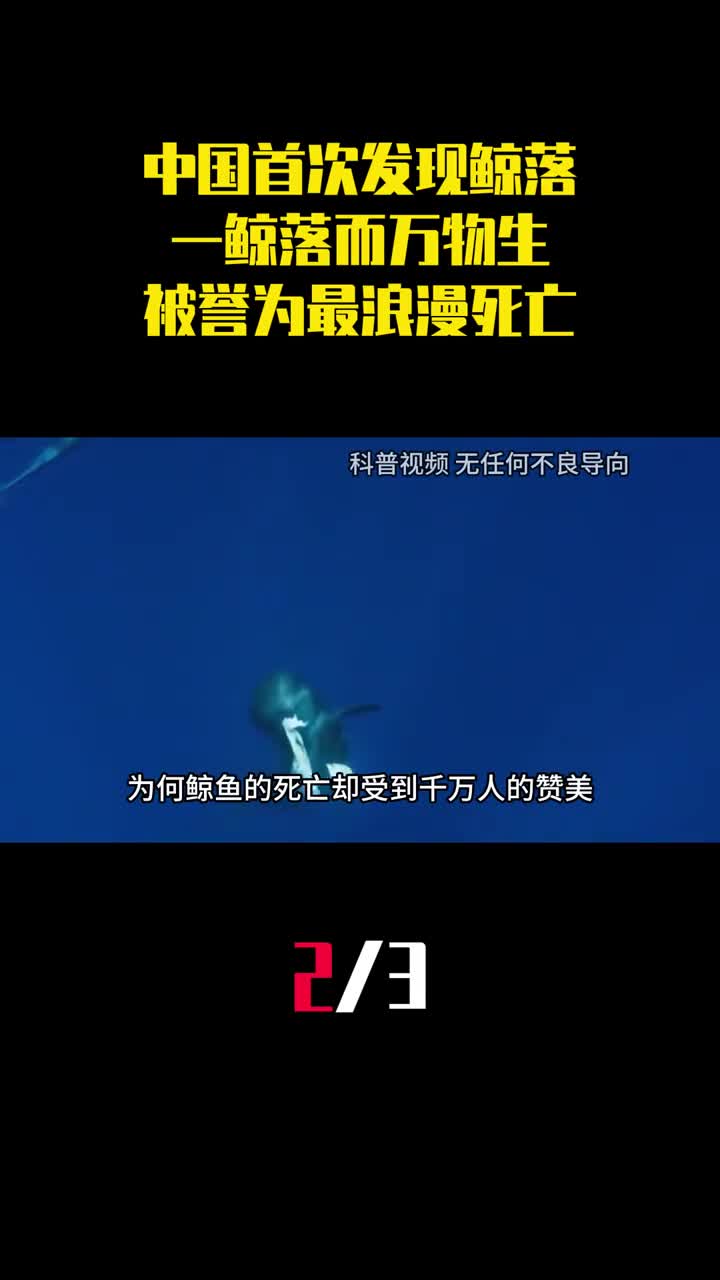 中国首次发现鲸落一鲸落而万物生为什么被誉为最浪漫的死亡2