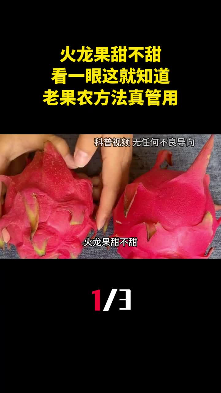 火龙果甜不甜看一眼这个地方就知道老果农方法真管用1