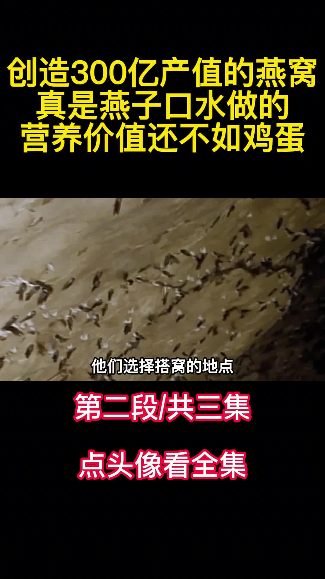 创造300亿产值的燕窝真是燕子口水做的营养价值还不如鸡蛋2