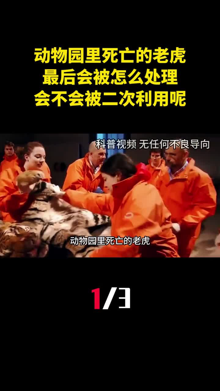 动物园里死亡的老虎最后会被怎么处理会不会被二次利用呢1
