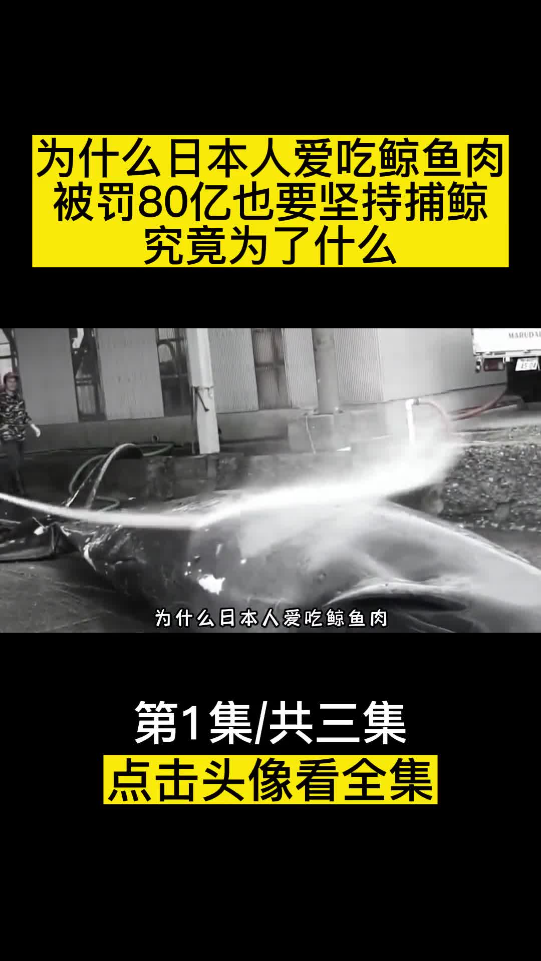 为什么日本人爱吃鲸鱼肉被罚80亿也要坚持捕鲸究竟为了什么