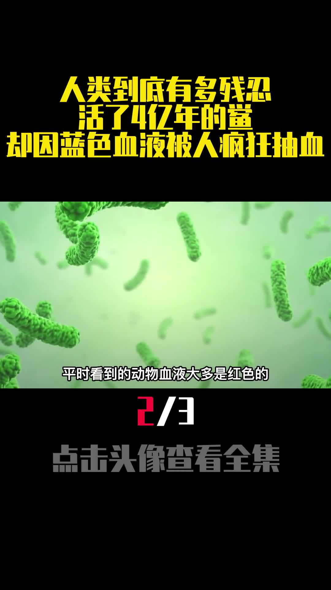 人类到底有多残忍活了4亿年的鲎却因蓝色血液被人疯狂抽血2