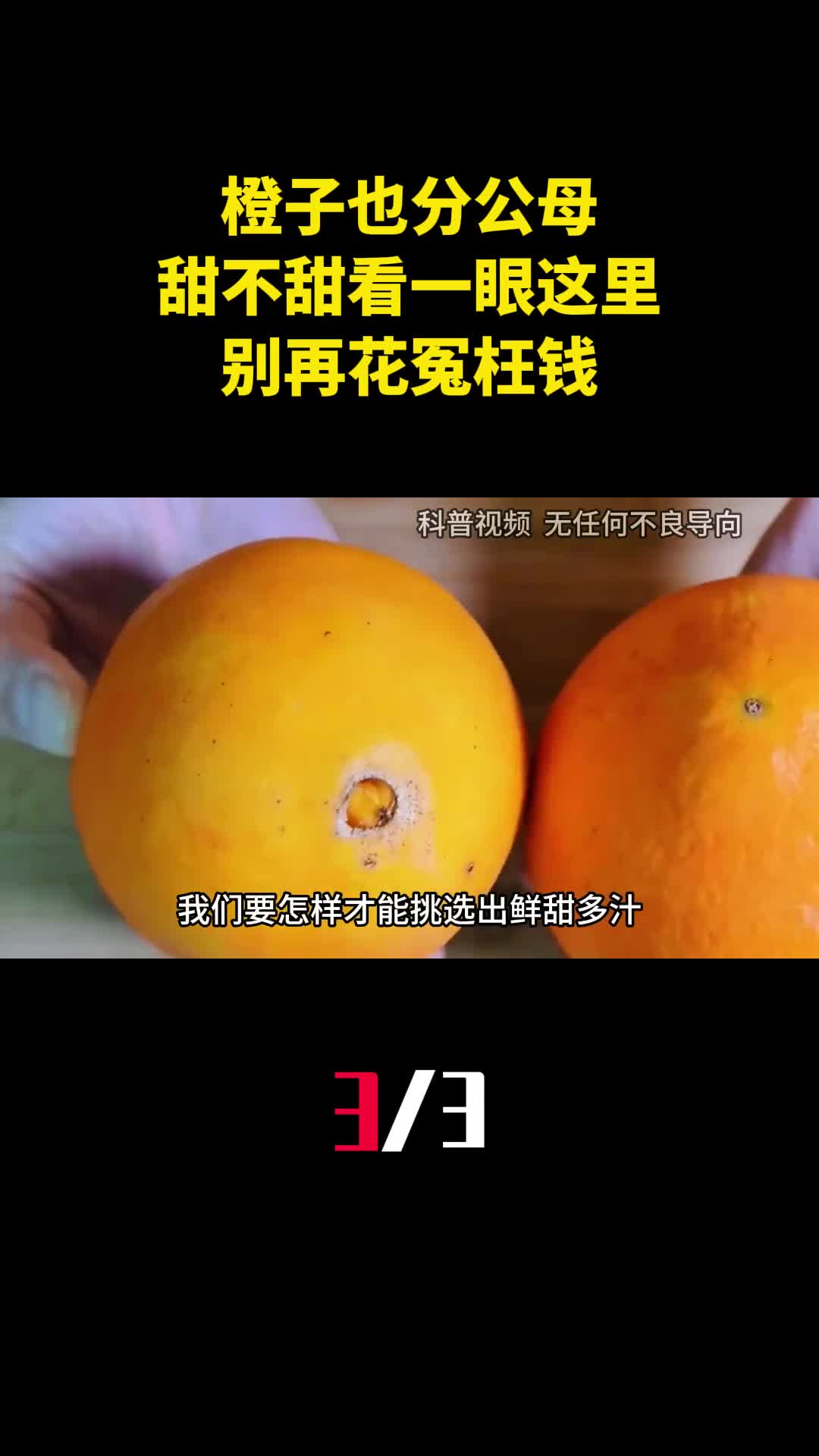 橙子也分公母橙子甜不甜看一眼这里就知道别再花冤枉钱3
