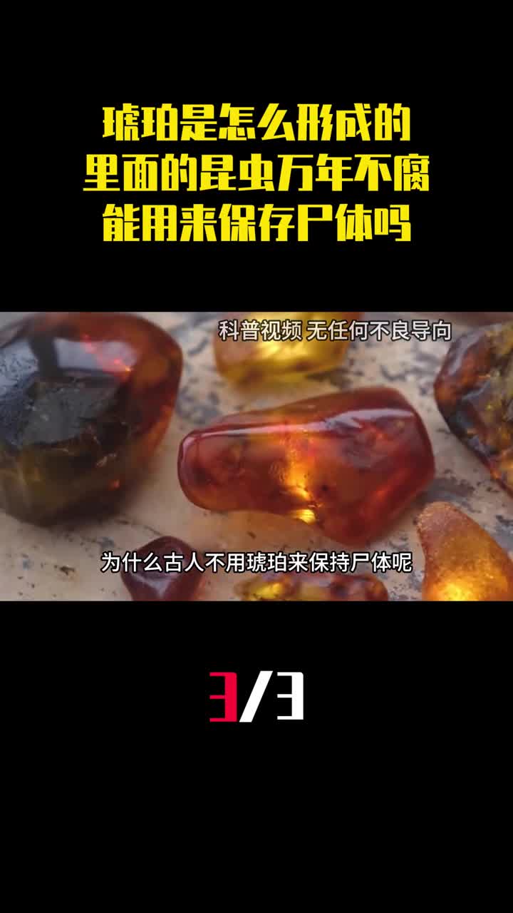 琥珀是怎么形成的里面的昆虫万年不腐能用来保存尸体吗3