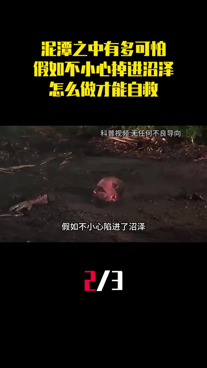 泥潭之中有多可怕假如不小心掉进沼泽怎么做才能自救2