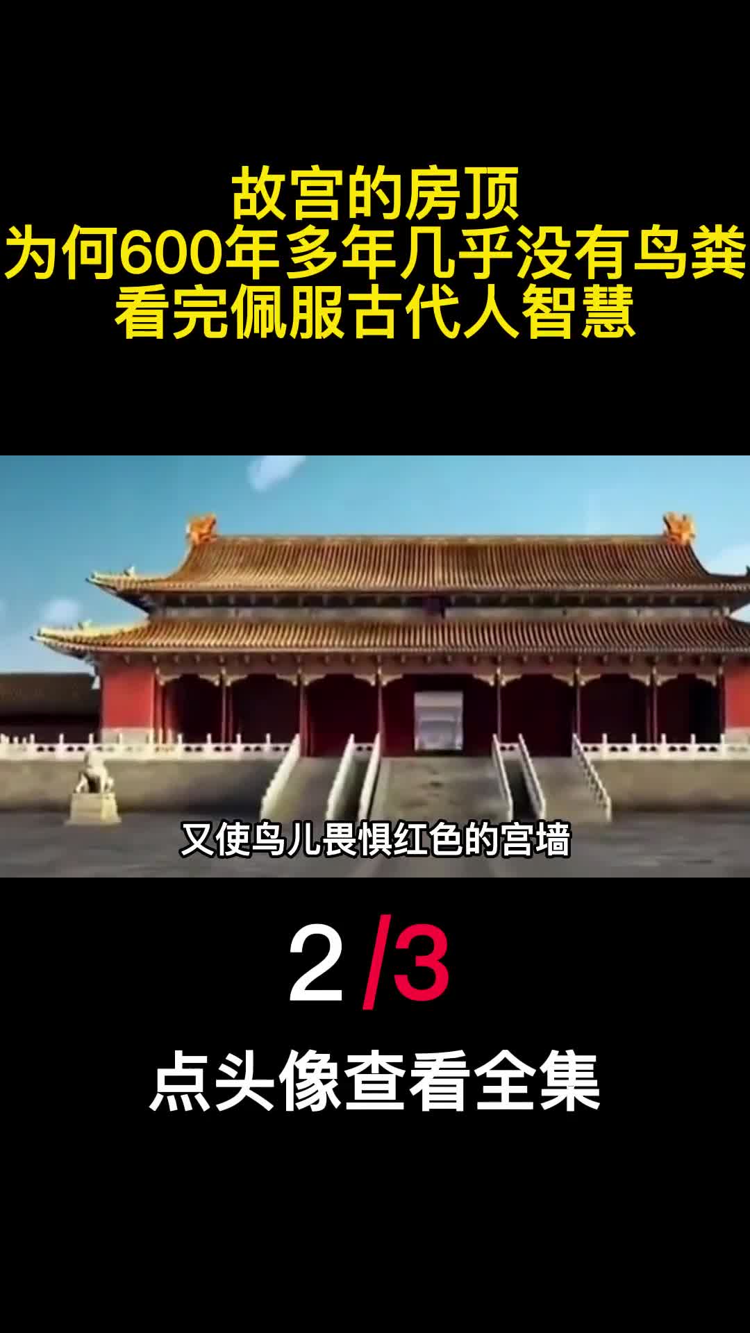 故宫的房顶为何600年多年几乎没有鸟粪看完佩服古代人智慧2