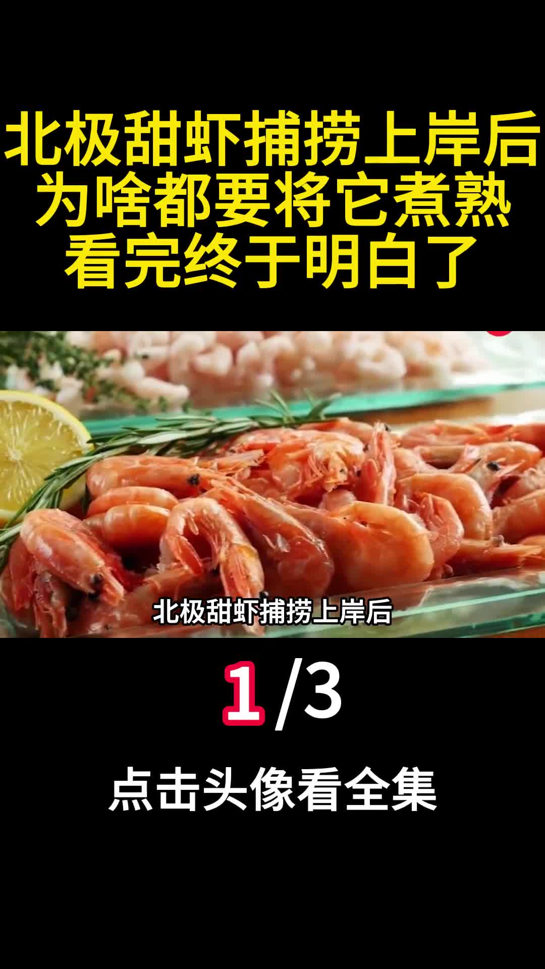 北极甜虾捕捞上岸后为啥都要将它煮熟看完终于明白了1