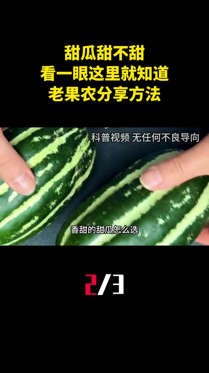 甜瓜甜不甜看一眼这里就知道老果农分享的方法真管用2