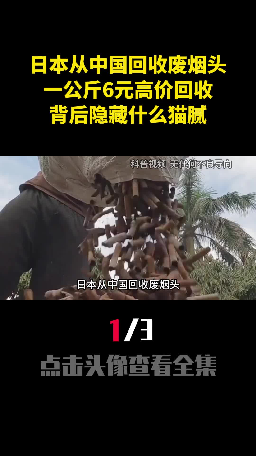 日本从中国回收废烟头一公斤6元高价回收背后隐藏什么猫腻1