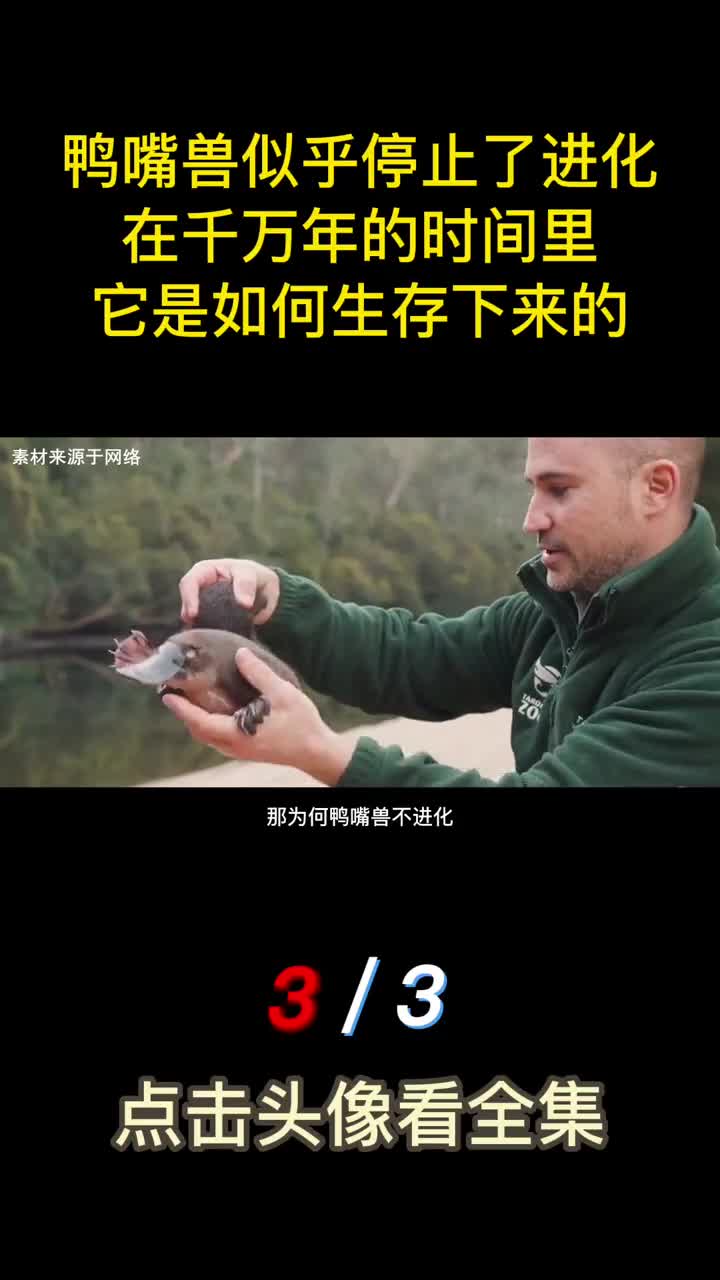 鸭嘴兽似乎停止了进化在千万年的时间里它是如何生存下来的